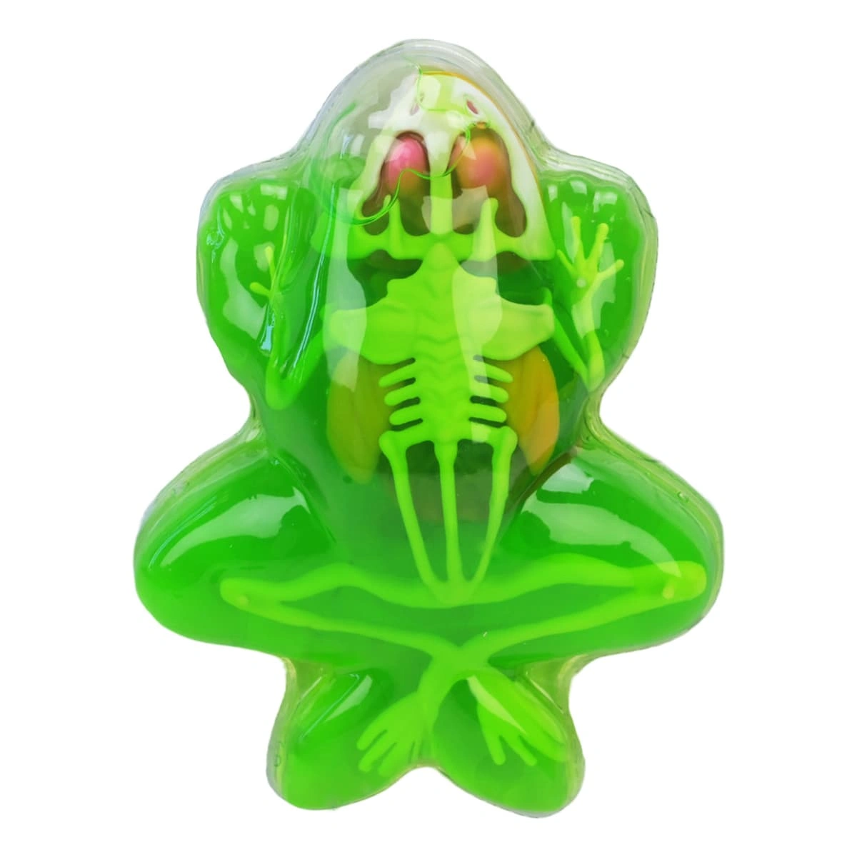 Лабораторний набір Shantou Жаба — фото 3