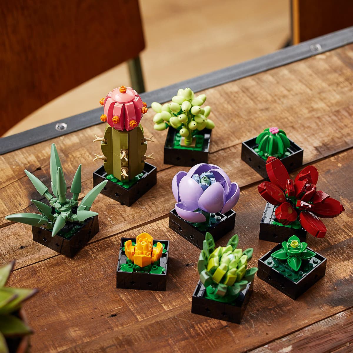 LEGO Botanical Collection Сукуленти 10309 — фото 3