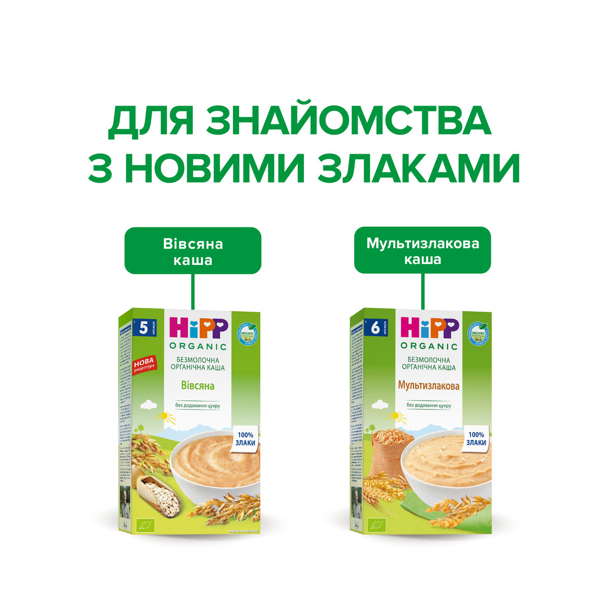 Безмолочна органічна каша HiPP Вівсяна, 200 г — фото 7