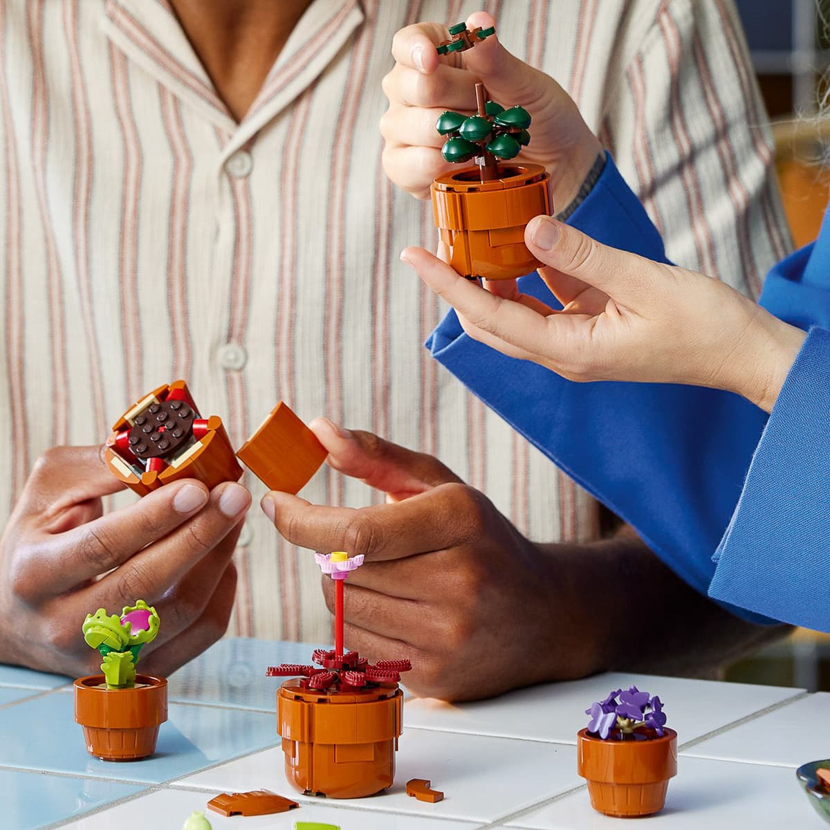 LEGO Botanical Collection Мініатюрні рослини 10329 — фото 3