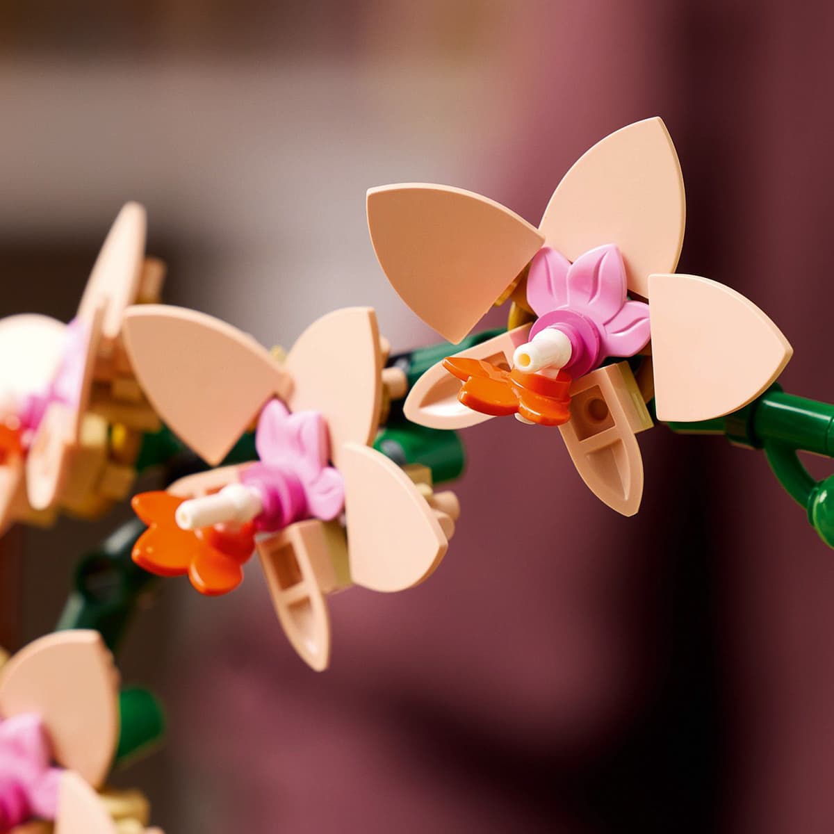 LEGO Botanical Collection Міні орхідея 10343 — фото 6