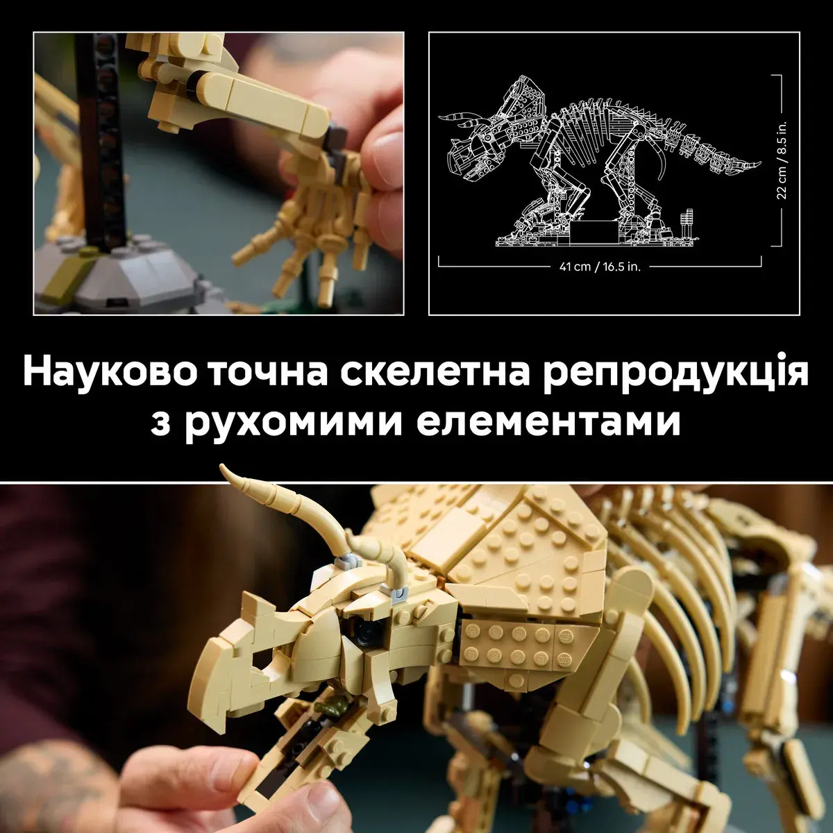 LEGO Jurassic World Скамʼянілості динозаврів: трицератопс 77985 — фото 4