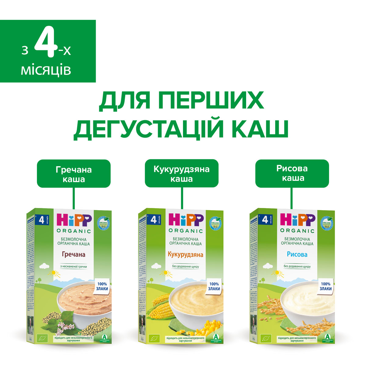 Безмолочна органічна каша HiPP Гречана 200 г — фото 7