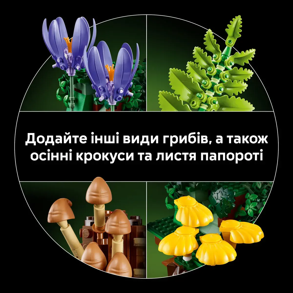 LEGO Botanical Collection Лісові гриби 11505 — фото 5