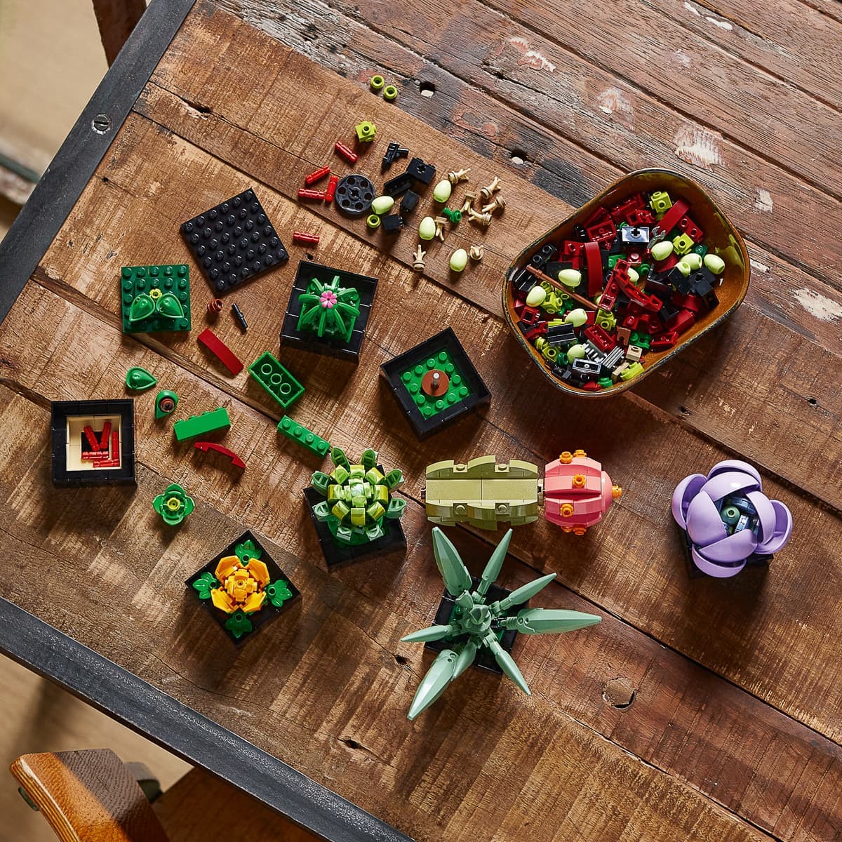 LEGO Botanical Collection Сукуленти 10309 — фото 4