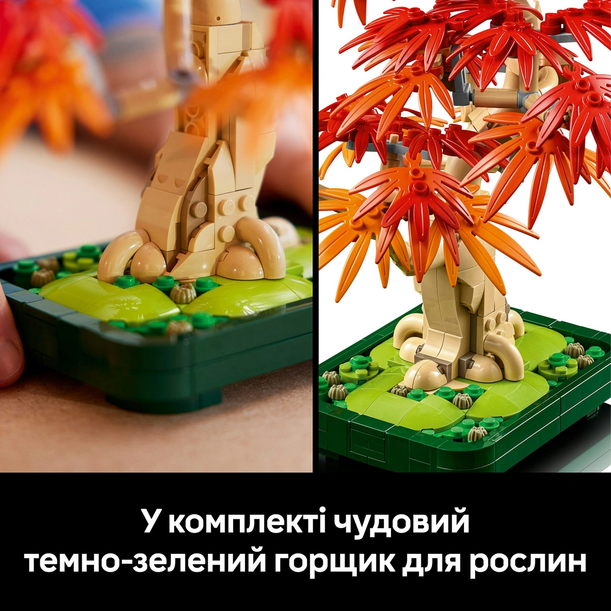 LEGO Botanical Collection Бонсай з японського червоного клена 10348 — фото 14