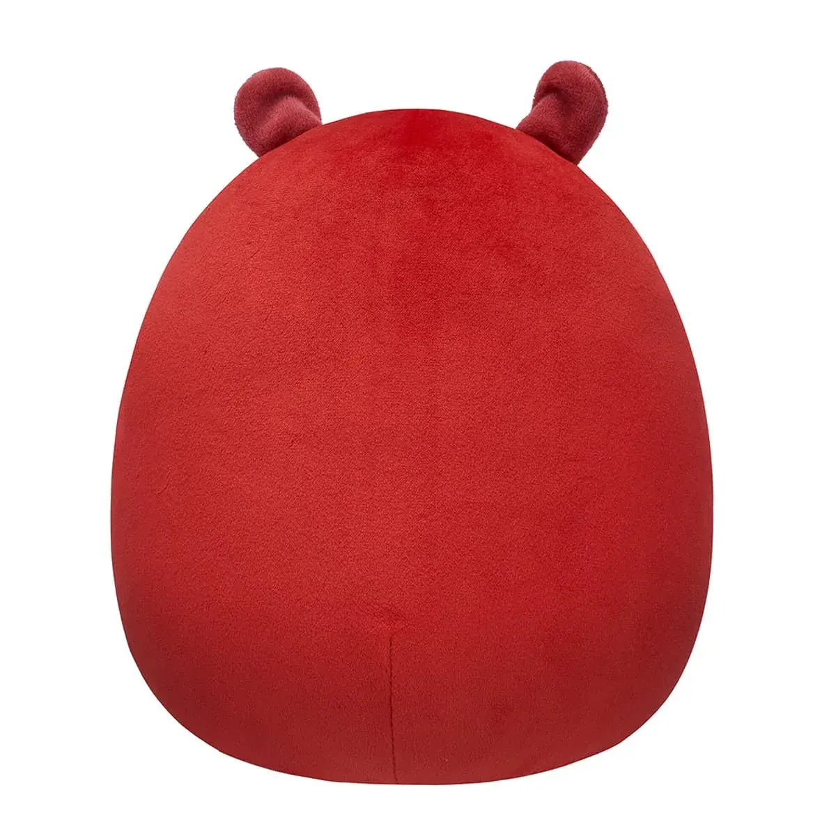 М'яка іграшка Squishmallows Капібара Марсія 19 см, SQCR06581 — фото 5