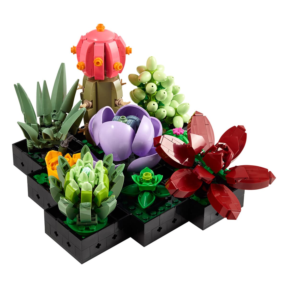 LEGO Botanical Collection Сукуленти 10309 — фото 6