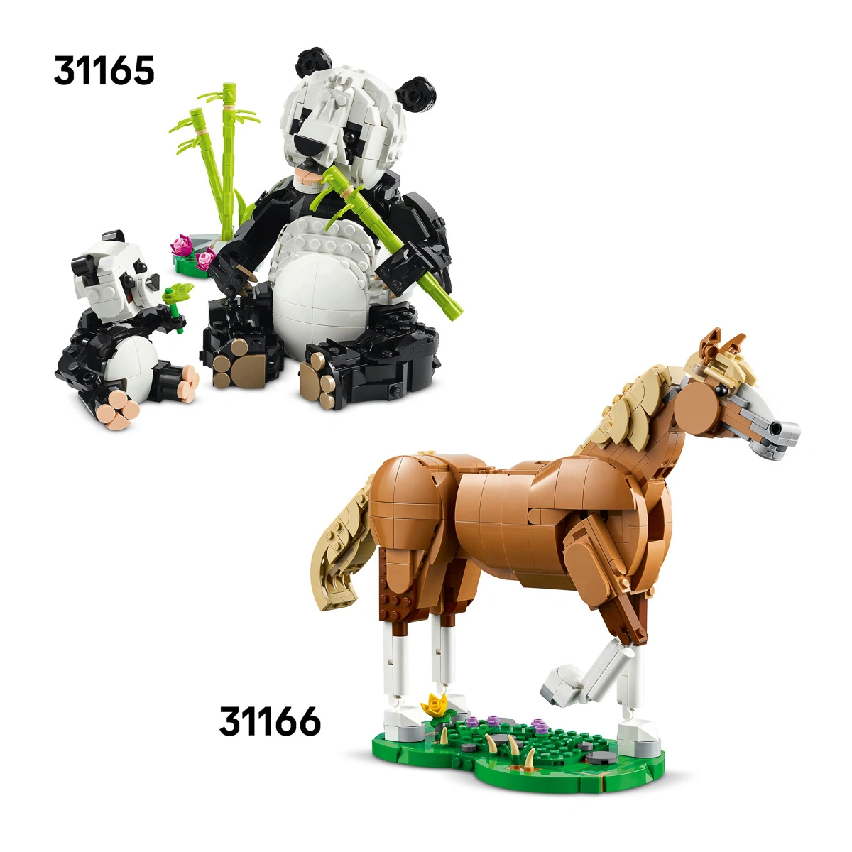 LEGO Creator Дикі тварини: тропічний тукан 31173 — фото 9