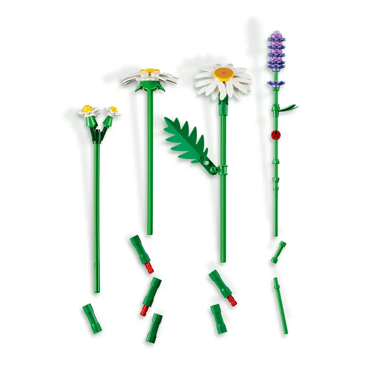 LEGO Botanical Collection Ромашки 11508 — фото 22
