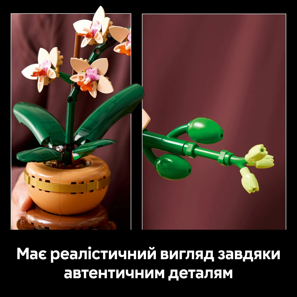 LEGO Botanical Collection Міні орхідея 10343 — фото 13