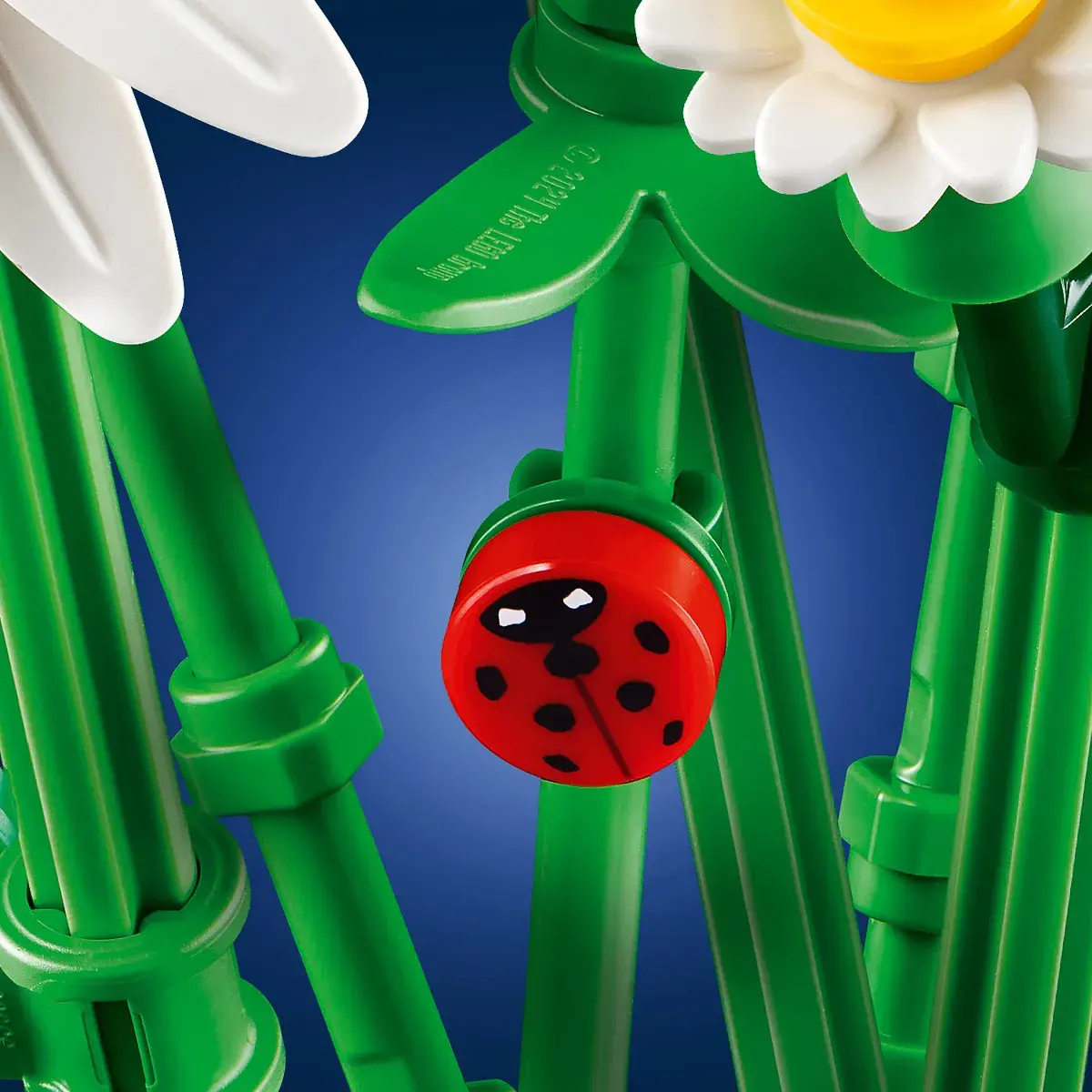 LEGO Botanical Collection Ромашки 11508 — фото 20